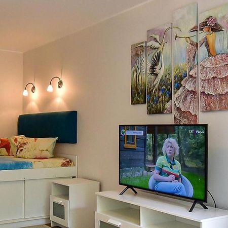 Stilingi Apartamentai Su Virtuve Traku Miesto Centre Trakai Exterior foto